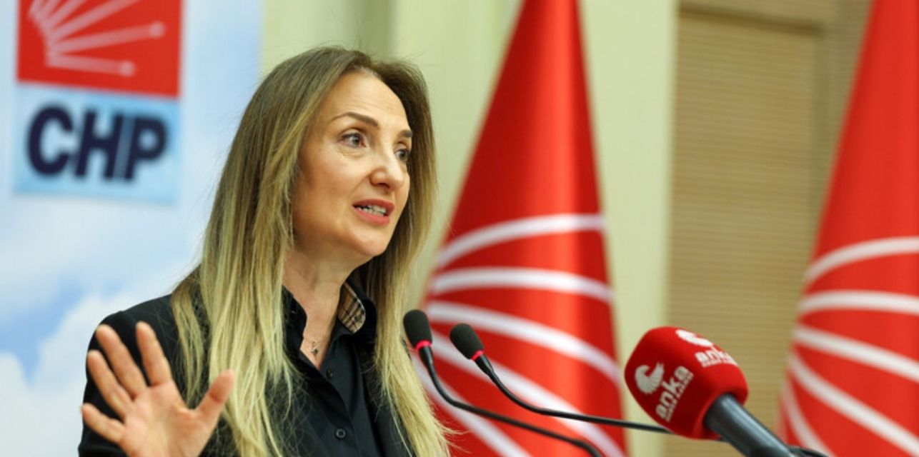 CHP’li Aylin Nazlıaka: İktidar AYM kararını bir kez daha yok saydı