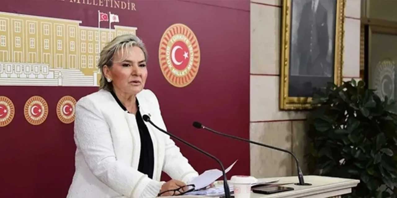 İYİ Parti’de Nimet Özdemir istifa etti: Vekil sayısı düşüyor!