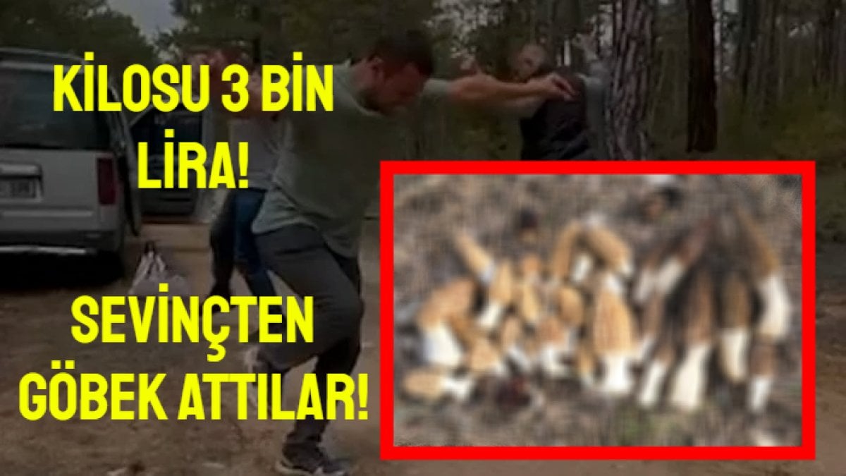 Kilosu 3 bin TL! Ormanda 5 kilo bulunca sevinçten oynadılar: Resmen küçük servet