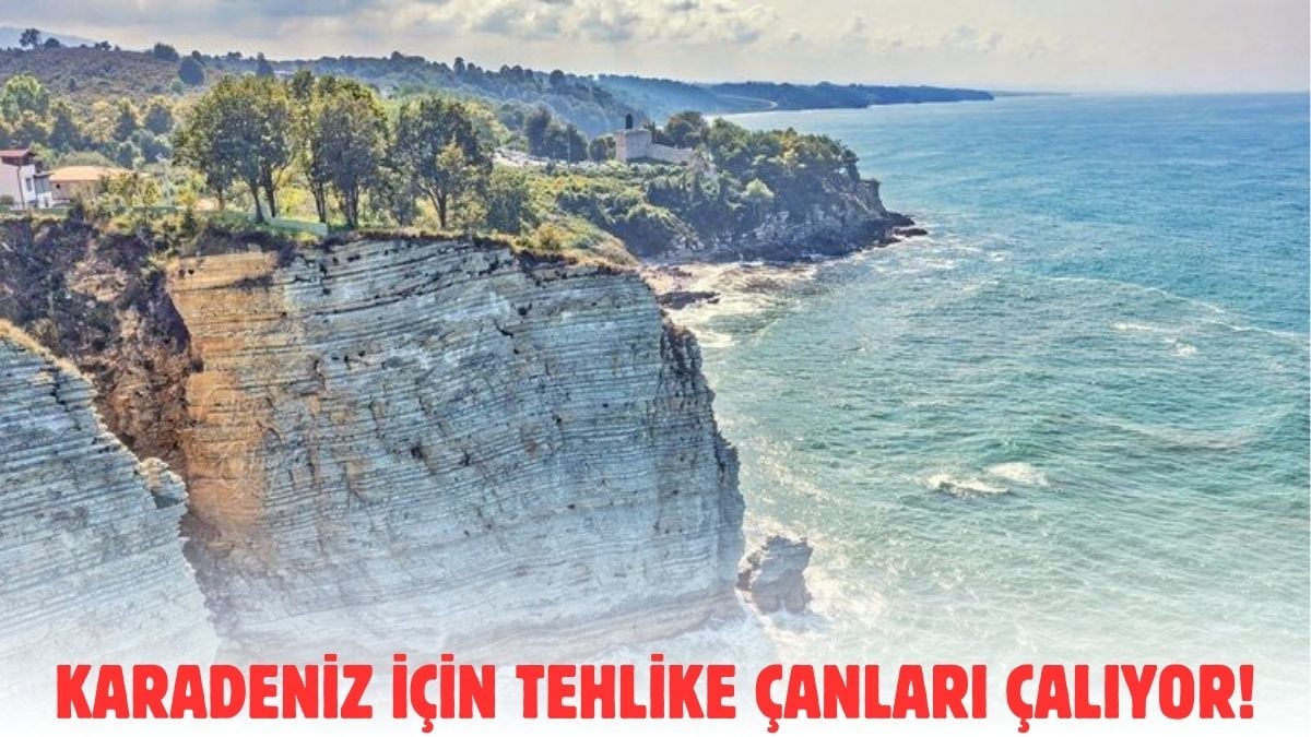 Karadeniz kaynıyor! Bu gidişat  iyiye işaret değil, uzmanlar uyardı: Karadeniz resmen ölüyor