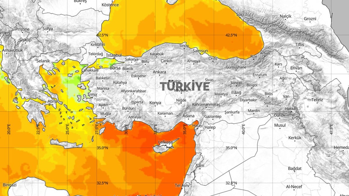 2024 felaketle geldi! Önce Karadeniz şimdi Akdeniz… Böyle giderse balığa hasret kalacağız