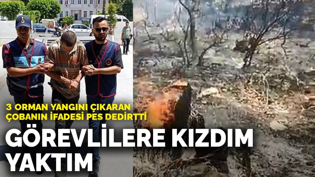 3 orman yangını çıkaran çobanın ifadesi pes dedirtti: Görevlilere kızdım, yaktım