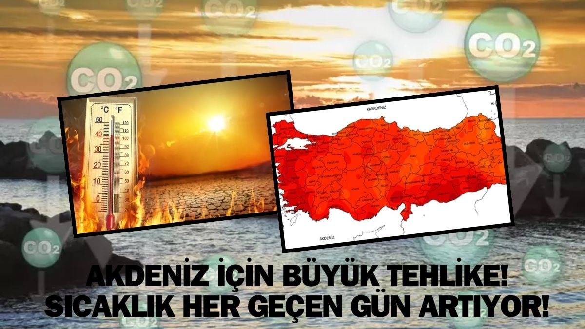 Kıyametin kronometresine basıldı! Akdeniz’de büyük tehlike: Böyle giderse hepimiz bittik