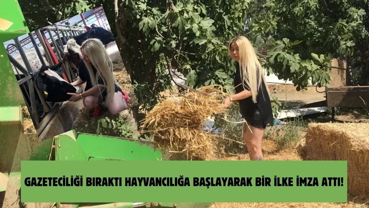 Gazeteciliği bıraktı, 100 büyükbaş hayvana bakıyor: 7 taneyle başladığı işte bunu yapan ilk kadın oldu!