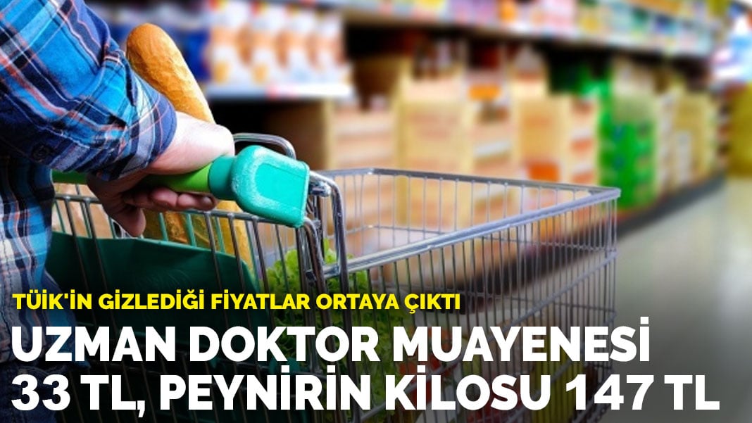 TÜİK’in gizlediği fiyatlar ortaya çıktı: Uzman doktor muayenesi 33 TL, peynirin kilosu 147 TL!