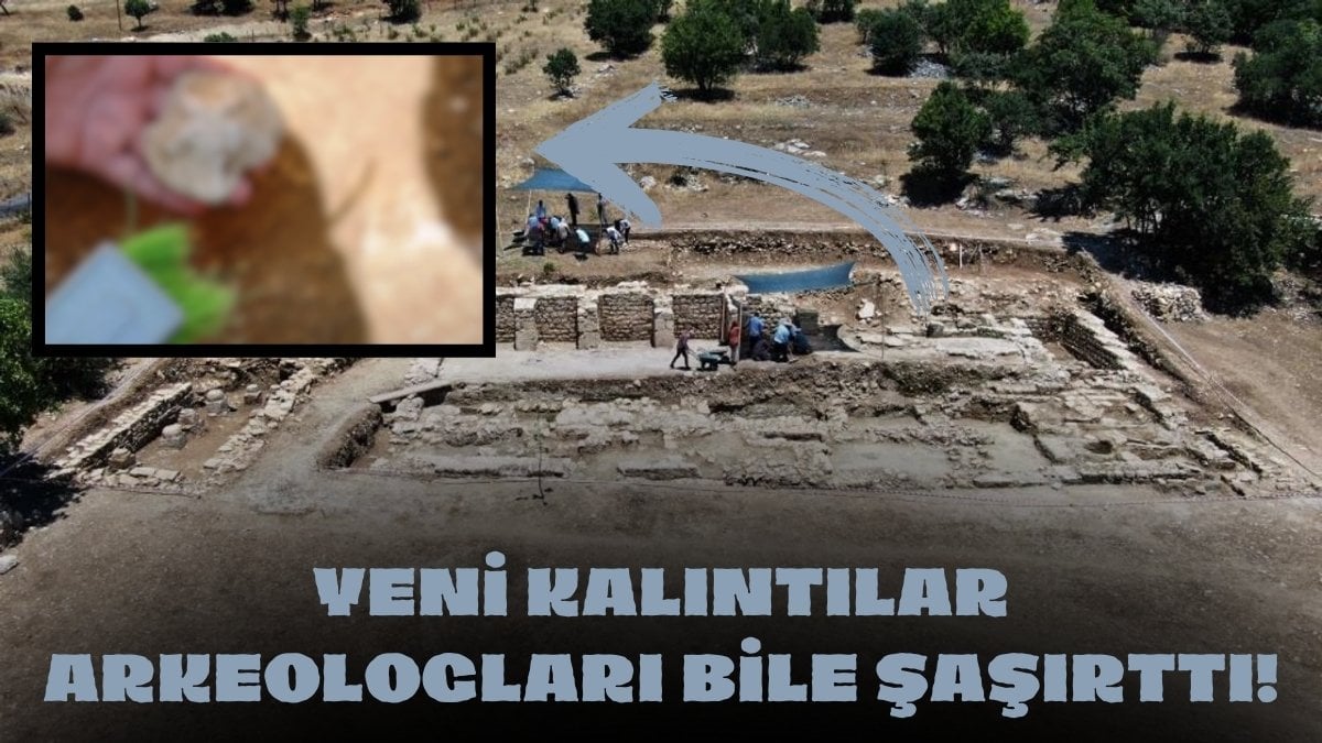 Denizi olmayan ilimizde bulundu! Arkeologları şaşkına çeviren fosil: Nuh Tufanından kaldığı söyleniyor