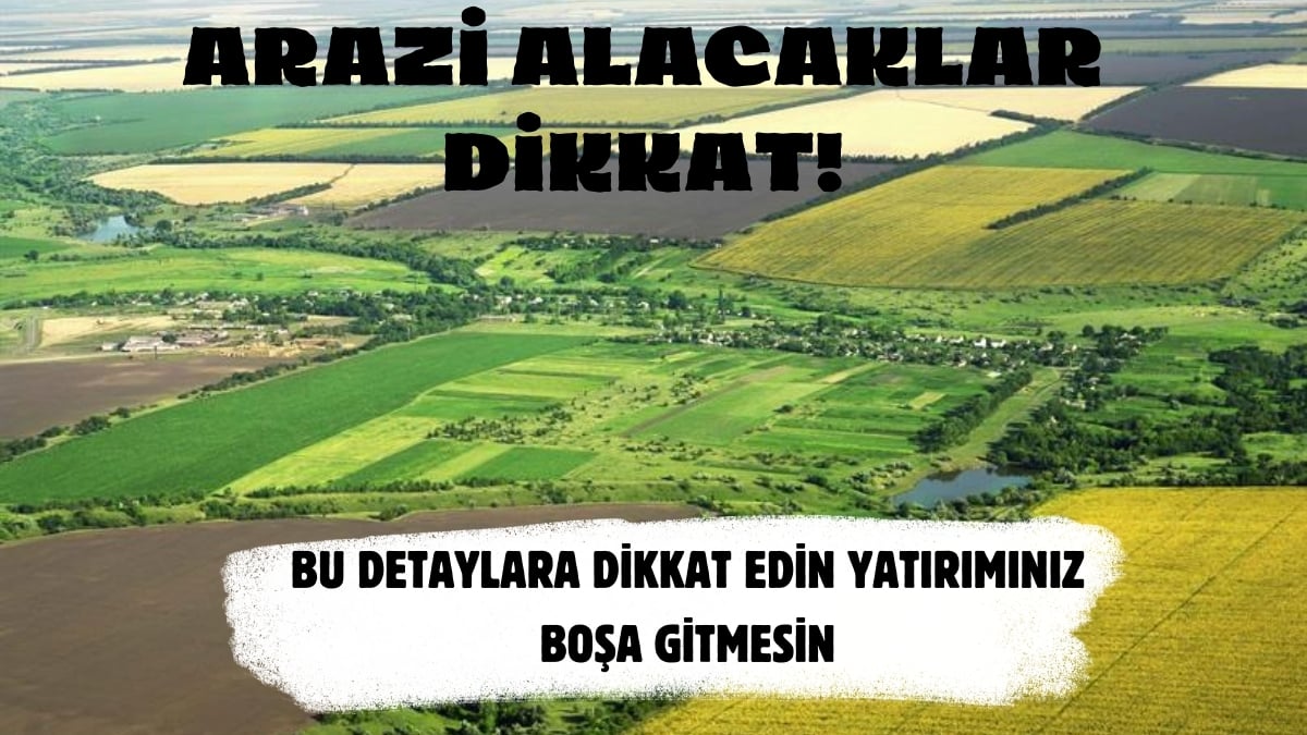 Arazi almadan önce bunlara dikkat edin! Hem paranız hem yatırımınız boşa gitmesin: Uzmanından tavsiyeler