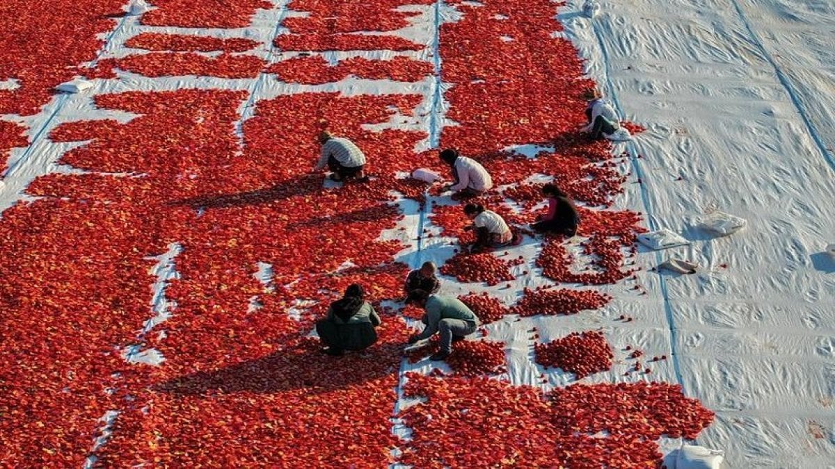 İzmir’de üretiliyor, Avrupa ve ABD’ye gönderiliyor! Talep ise çok yüksek