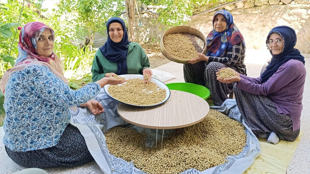 Coğrafi işaretli şifa kaynağı: O köyden yurt dışına ihraç ediliyor! Tonlarca satılıyor, yoğun ilgi var