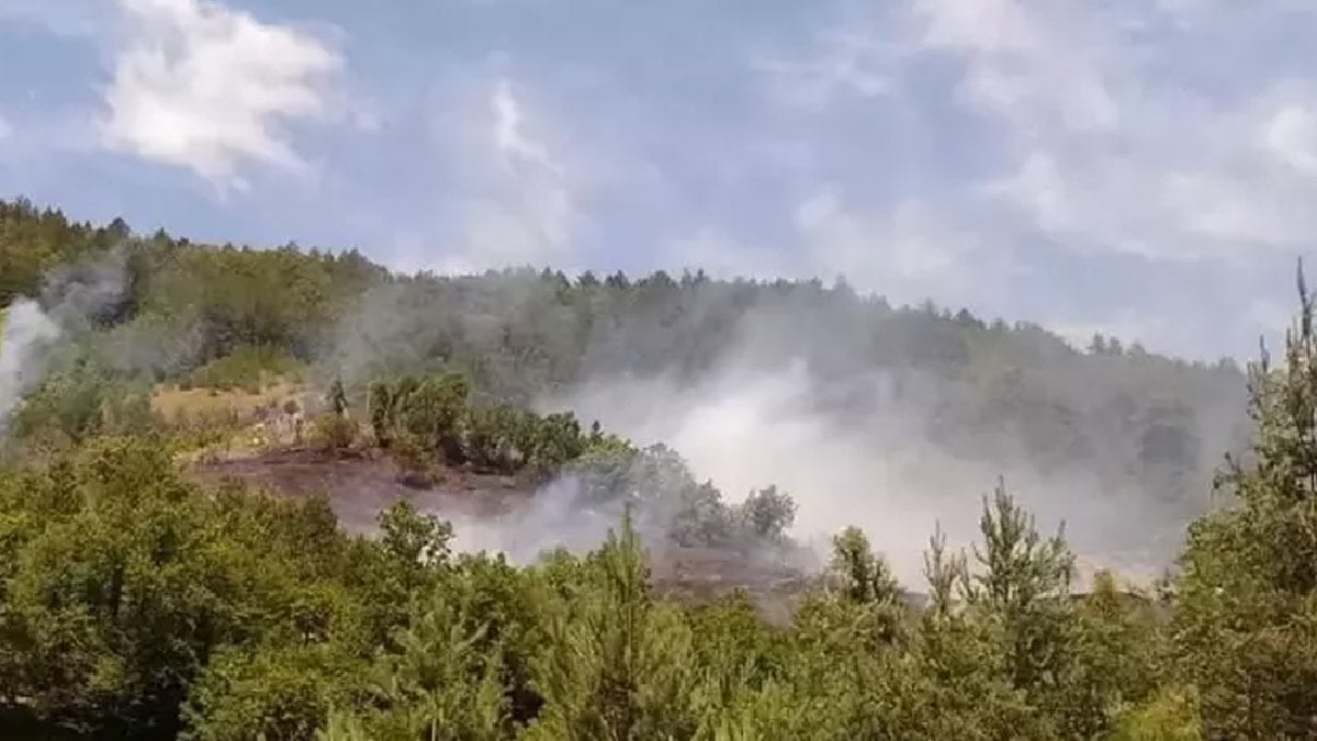 Bartın da tarladaki anız ateşi ormana sıçradı: Yangınla ilgili soruşturma başlatıldı