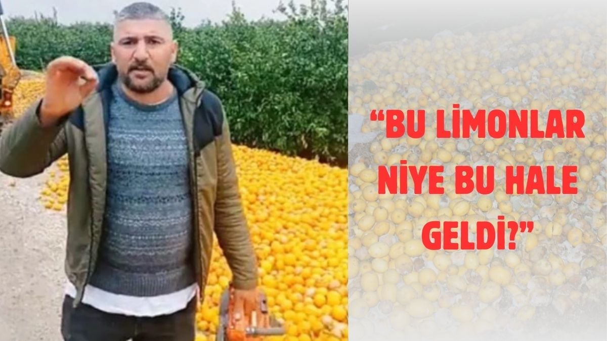 Dalından alıcı bulamıyordu, markette 100 lirayı gördü! Çiftçi tonlarca limonu dökerken isyan etti