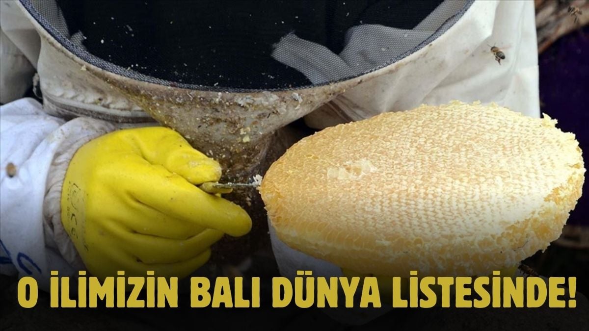 O şehrinizin balı artık tescilli! Altın Bal ödülünü kaptı, doğallığı kanıtlandı