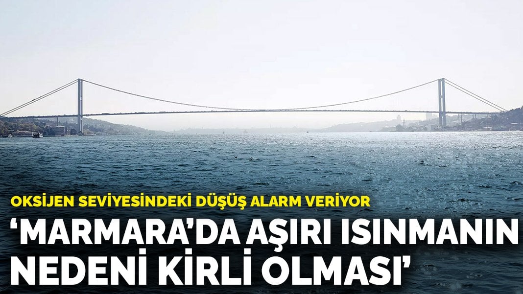 Marmara Denizi Kirleniyor: Oksijen seviyesindeki düşüş alarm veriyor