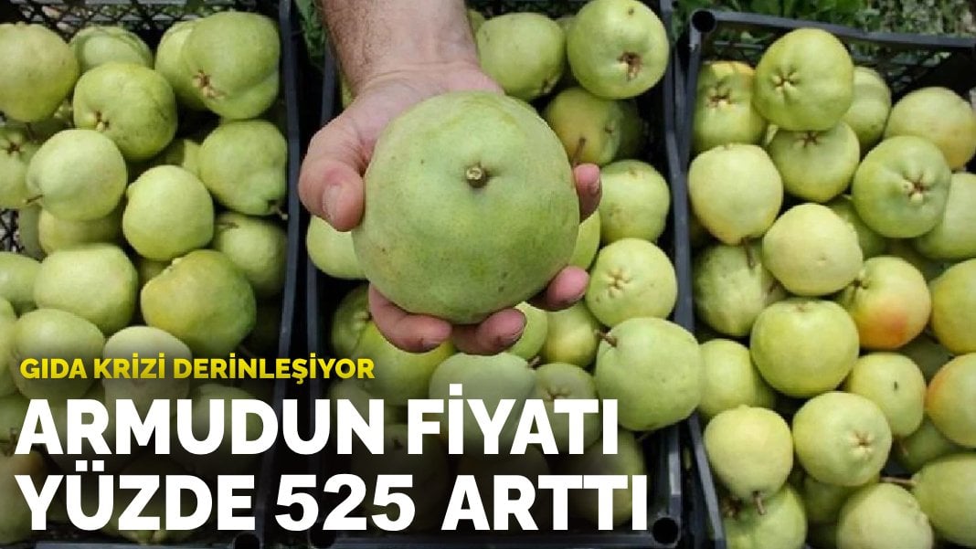 Gıda krizi derinleşiyor: Armudun fiyatı yüzde 525 arttı