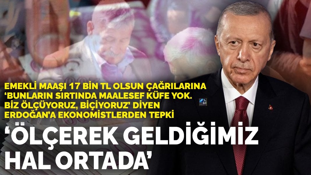 Erdoğan’ın ’emekli maaşı 17 bin TL olsun’ çağrılarına verdiği cevaba ekonomistlerden tepki: Ölçerek geldiğimiz hal ortada