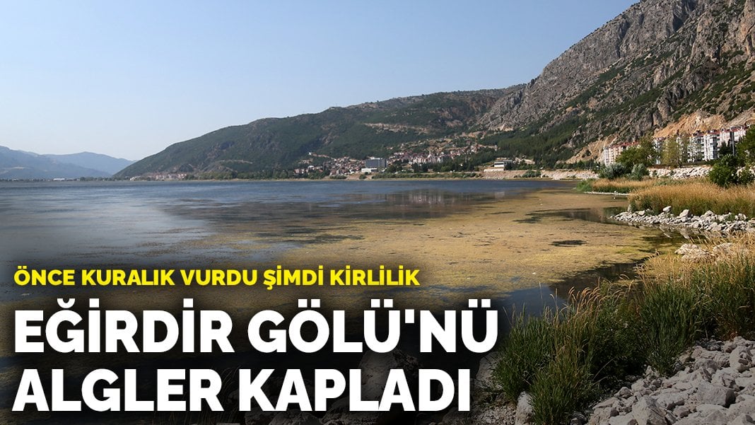 Eğirdir Gölü’nü algler kapladı: Önce kuraklık vurdu şimdi kirlilik