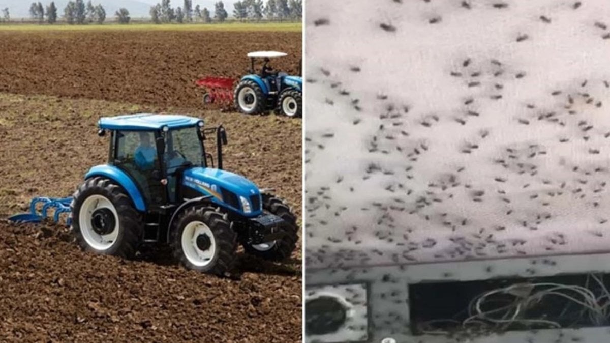 Yüzlercesi bir anda etrafını sardı! Ağzını kulaklarını bezle kapadı