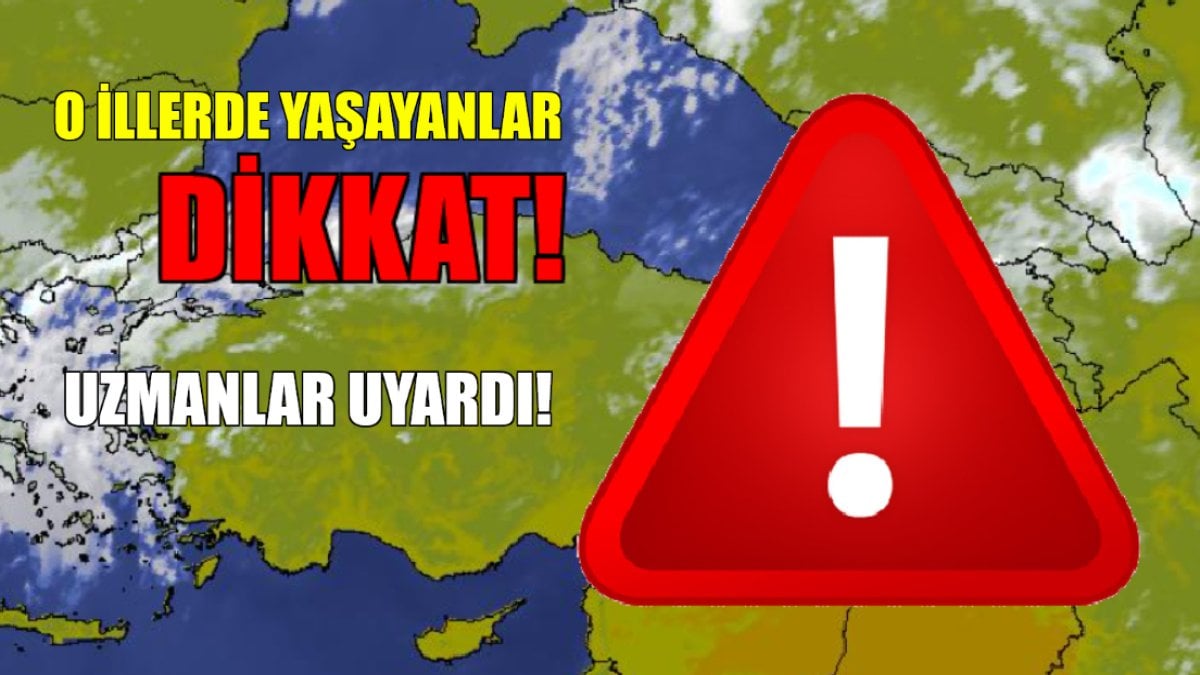 Evden bu ses geliyorsa arkanıza bakmadan kaçın! Uzmanlar uyardı: 13 ilde istila var