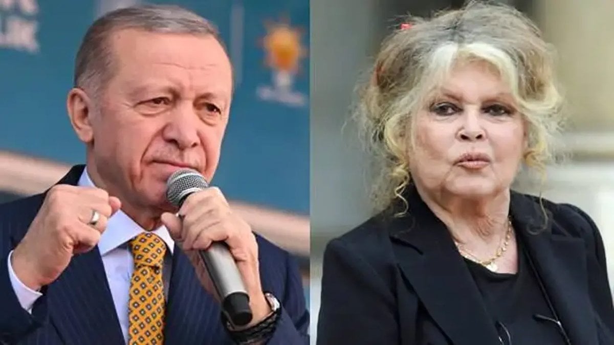 Ünlü oyuncu Brigitte Bardot’dan Erdoğan’a ‘sokak hayvanları’ çağrısı