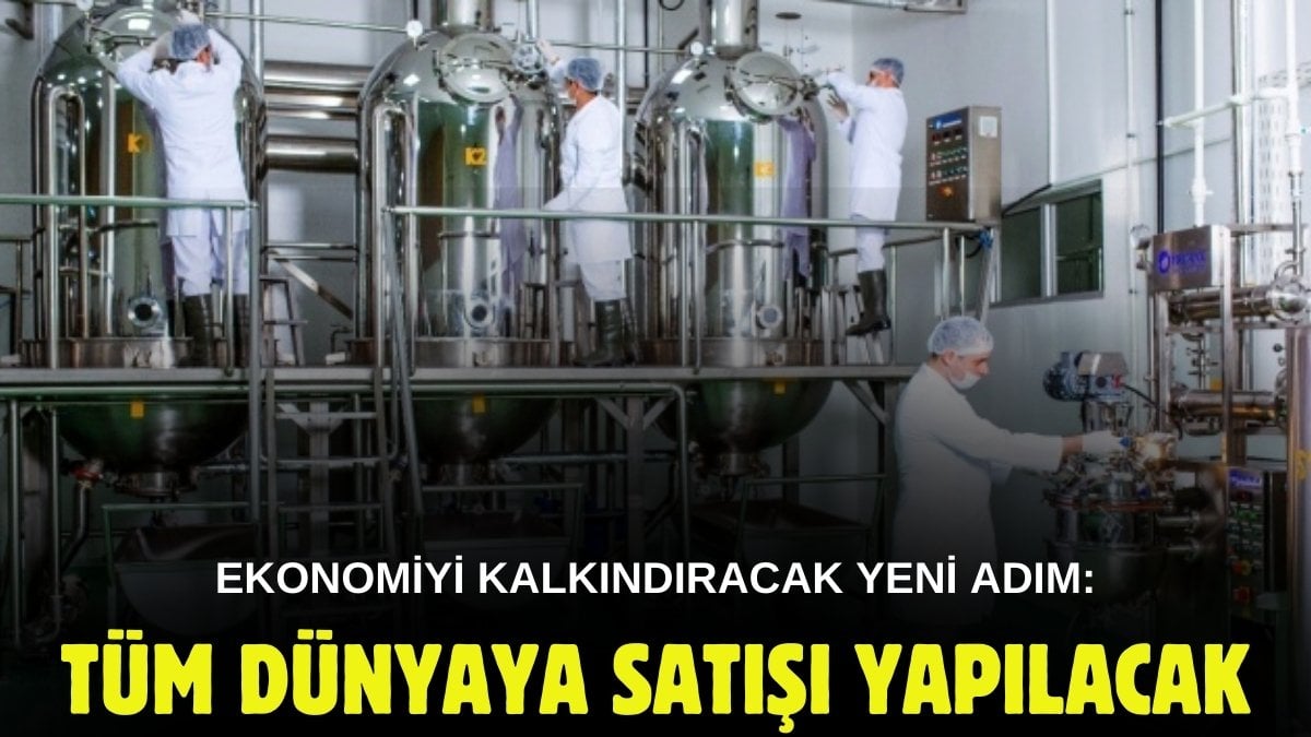 Tüm dünyaya satış yapılacak! 10 milyon lira yatırımla üretime başlandı: Çiftçilere ek gelir kapısı açılıyor