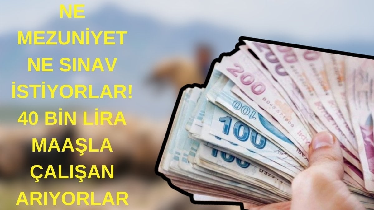 40 bin TL maaşı var! Ne mezuniyet aranıyor ne sınav isteniyor: 150 bin çalışana ihtiyaç var