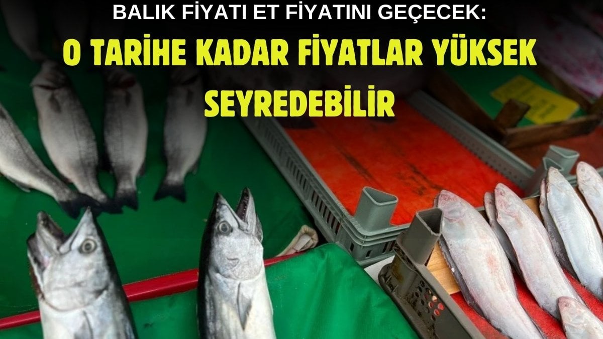 Türkiye’de balık bolluğu bitiyor! Boyutları küçücük kaldı: Böyle giderse kırmızı etten pahalıya satılacak