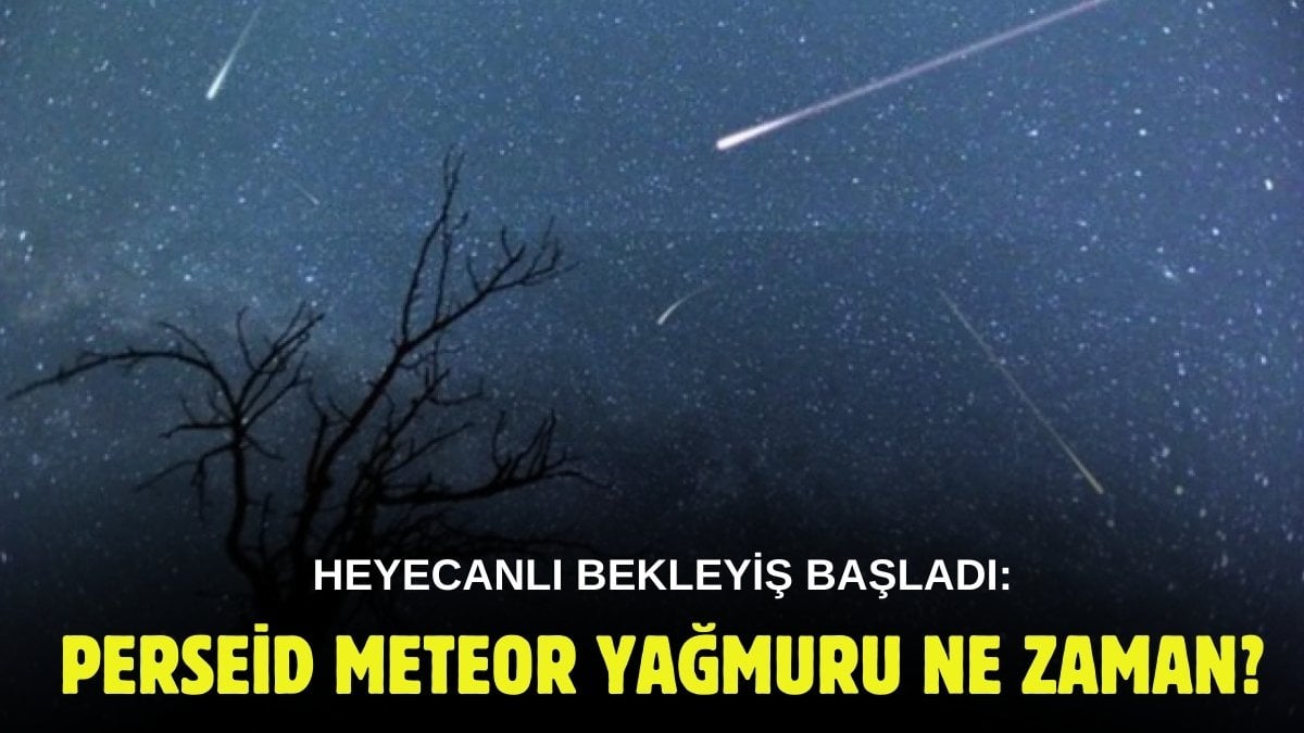 Çayını kahvesini kapan balkona koşsun! O tarihte dibimizden geçecekler: Perseid meteor yağmuru ne zaman?