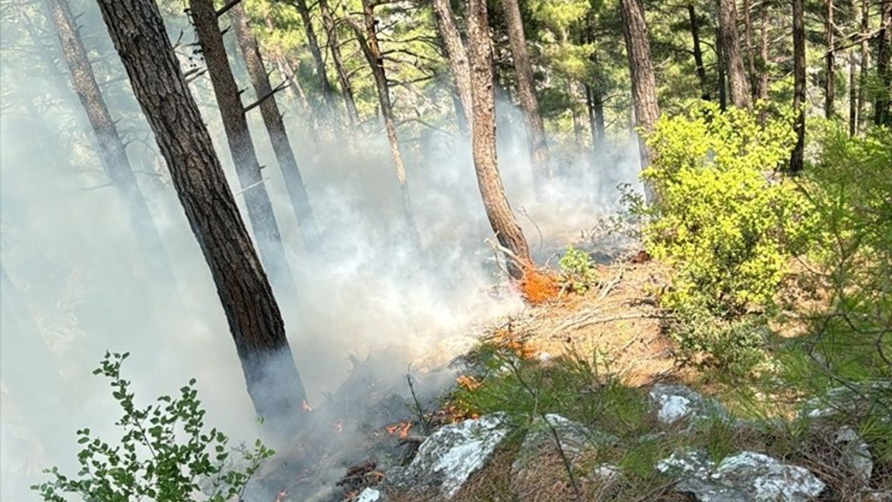 Adana’daki Orman Yangını Kontrol Altına Alındı