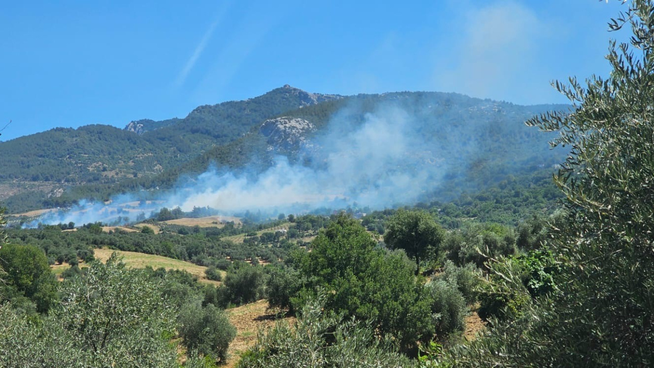 Adana ve Mersin’de orman yangını!