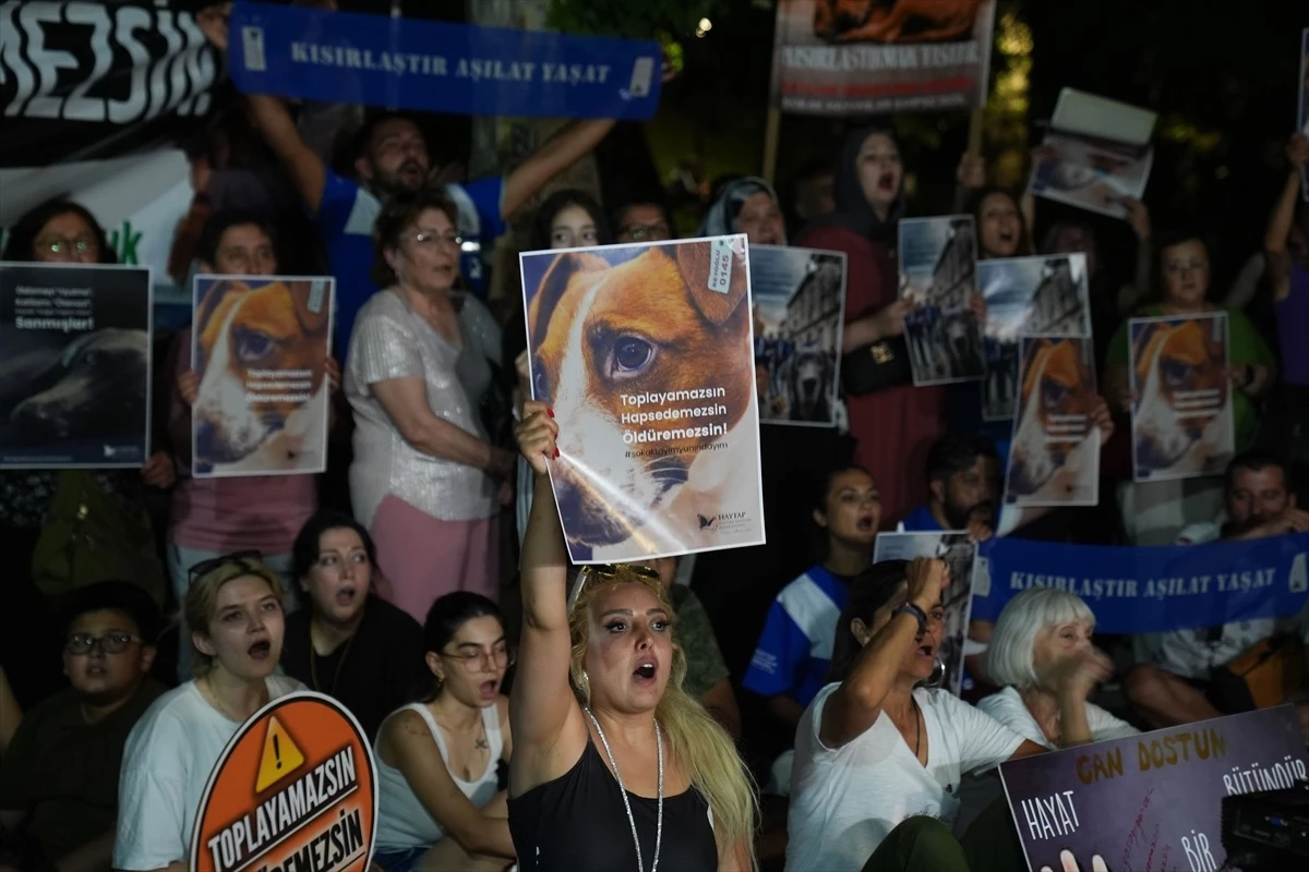 Ankara’da Hayvanları Koruma Kanunu’na karşı protesto düzenlendi