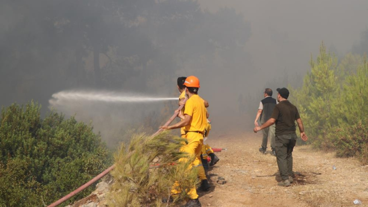 Bodrum’daki Orman Yangınına Havadan ve Karadan Müdahale Sürüyor