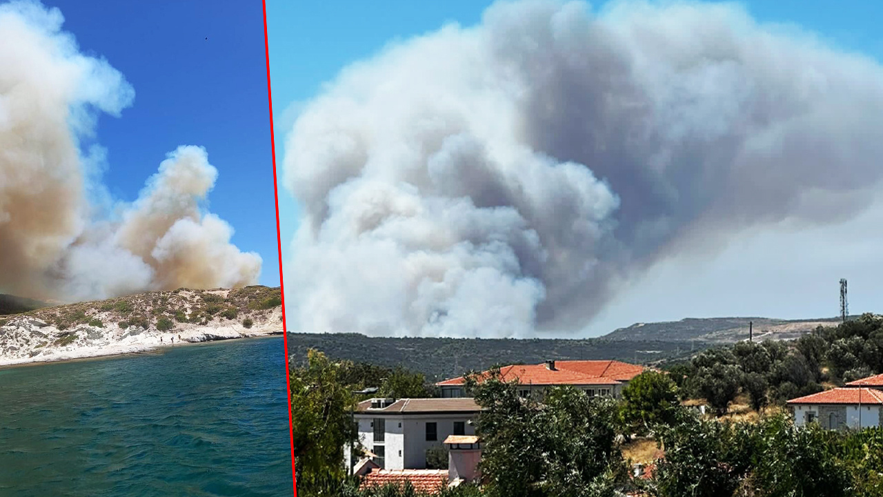 İzmir, Manisa ve Çanakkale’de Orman Yangını: 3 Kişi Hayatını Kaybetti, 4 Kişi Gözaltına Alındı