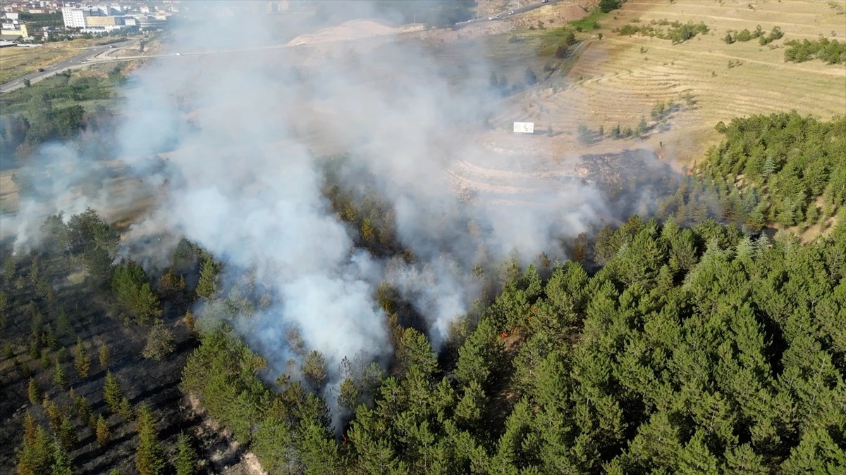 Çorum’da 6 Şubat Deprem Şehitleri Hatıra Ormanı’nda çıkan yangın söndürüldü