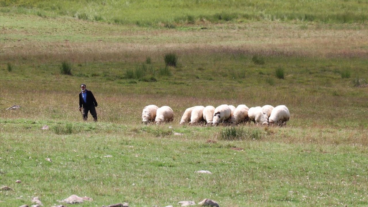 Dumlubaba Yaylası’nda Zorlu Göçer Yaşamı