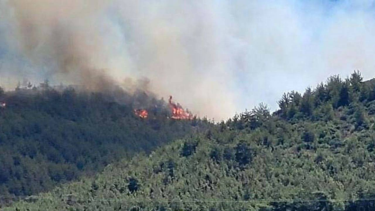 Hatay ve Balıkesir’de Orman Yangını