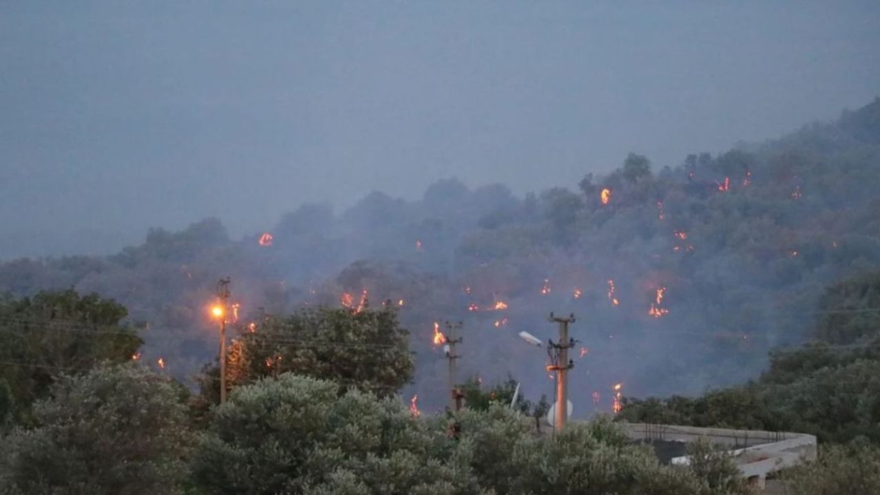 İzmir Bornova’da ki orman yangını şüphelisi tutuklandı!