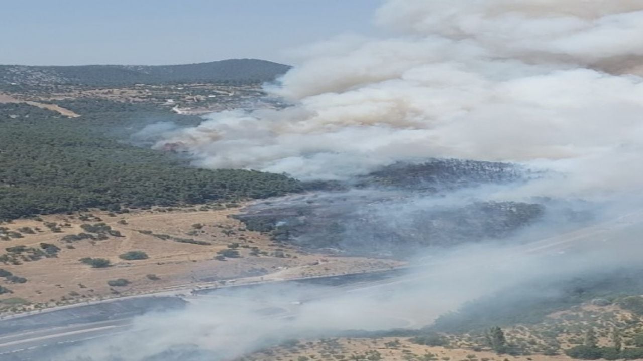 İzmir Bornova’da orman yangını! Yoğun müdahale sürüyor…