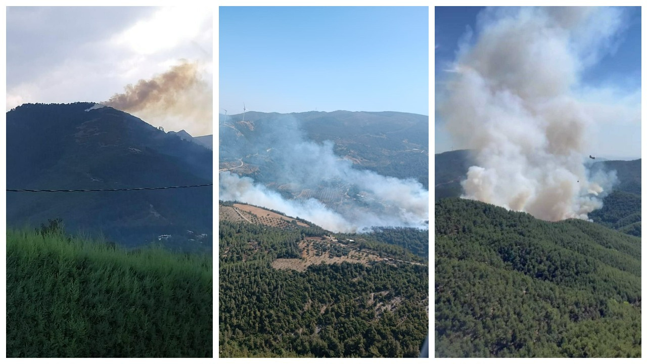 İzmir, Hatay ve Denizli’de Orman Yangınları