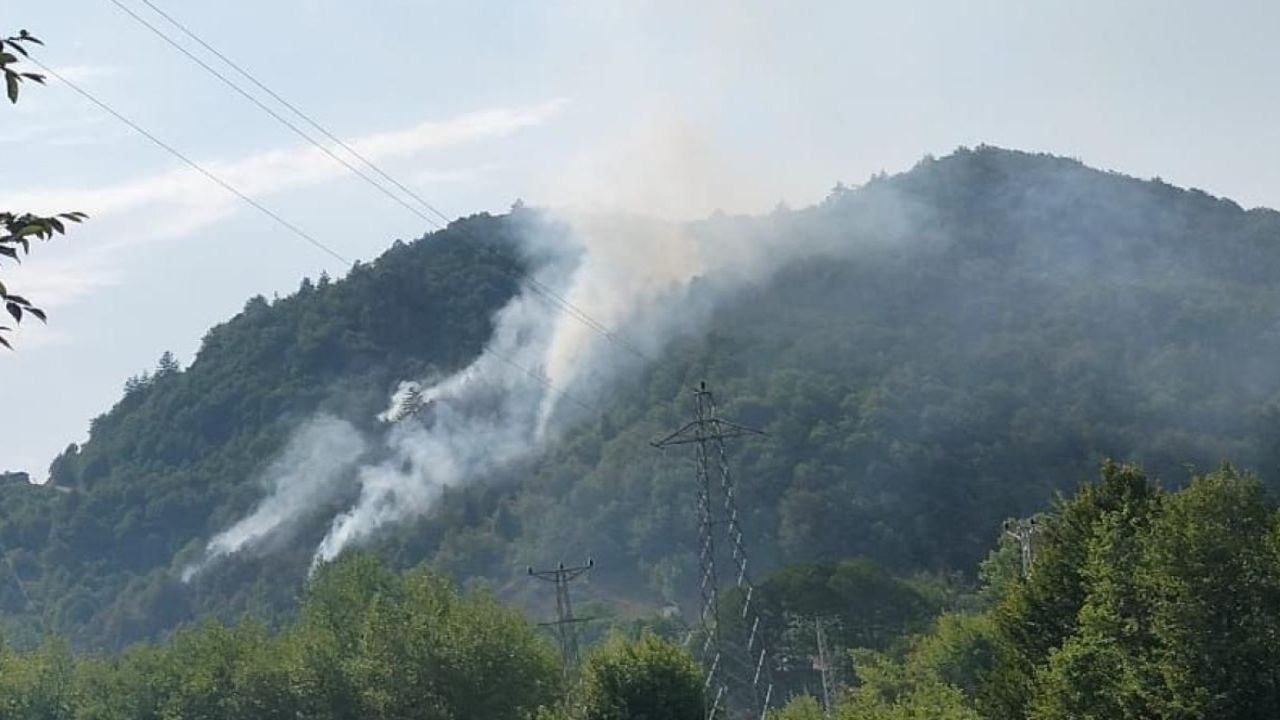 Kastamonu Azdavay’da orman yangını çıktı, ekipler müdahalede!