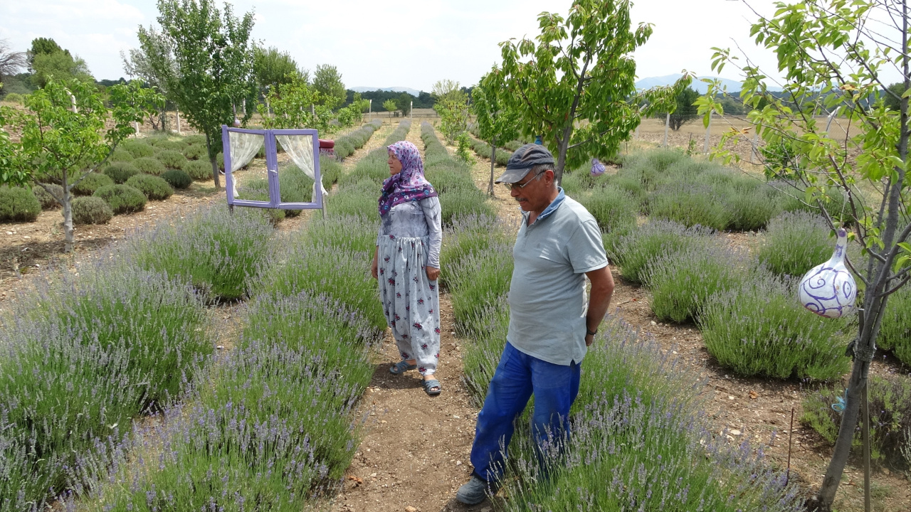 Köydeki Hobileri Servet Sahibi Yaptı: Paraya Para Demiyorlar