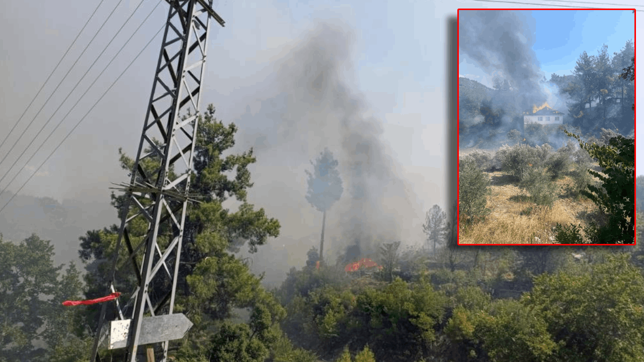 Muğla’daki Orman Yangını Söndürüldü