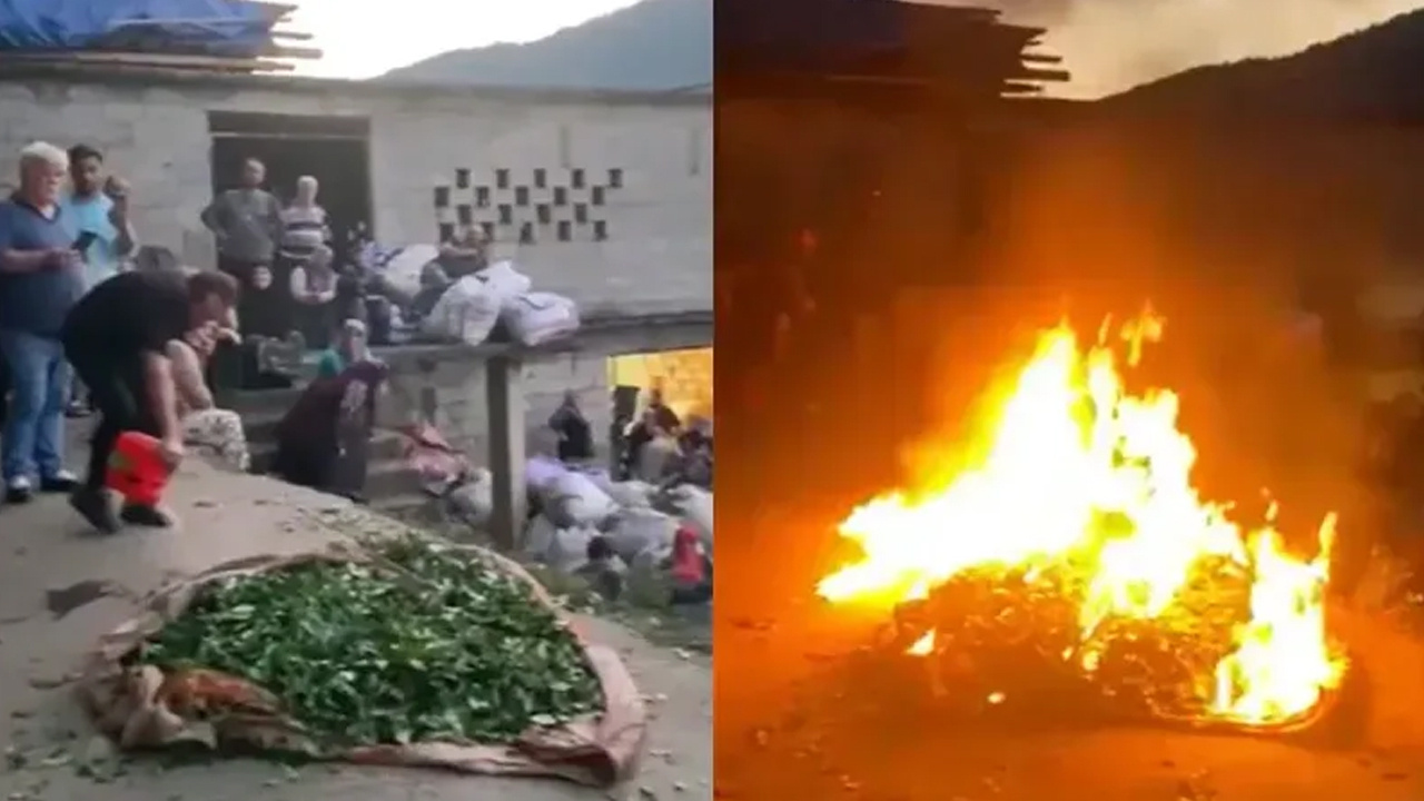 Rizeli Üreticiden Çaykur’a Protesto: Satamadığı Çayını Yaktı!