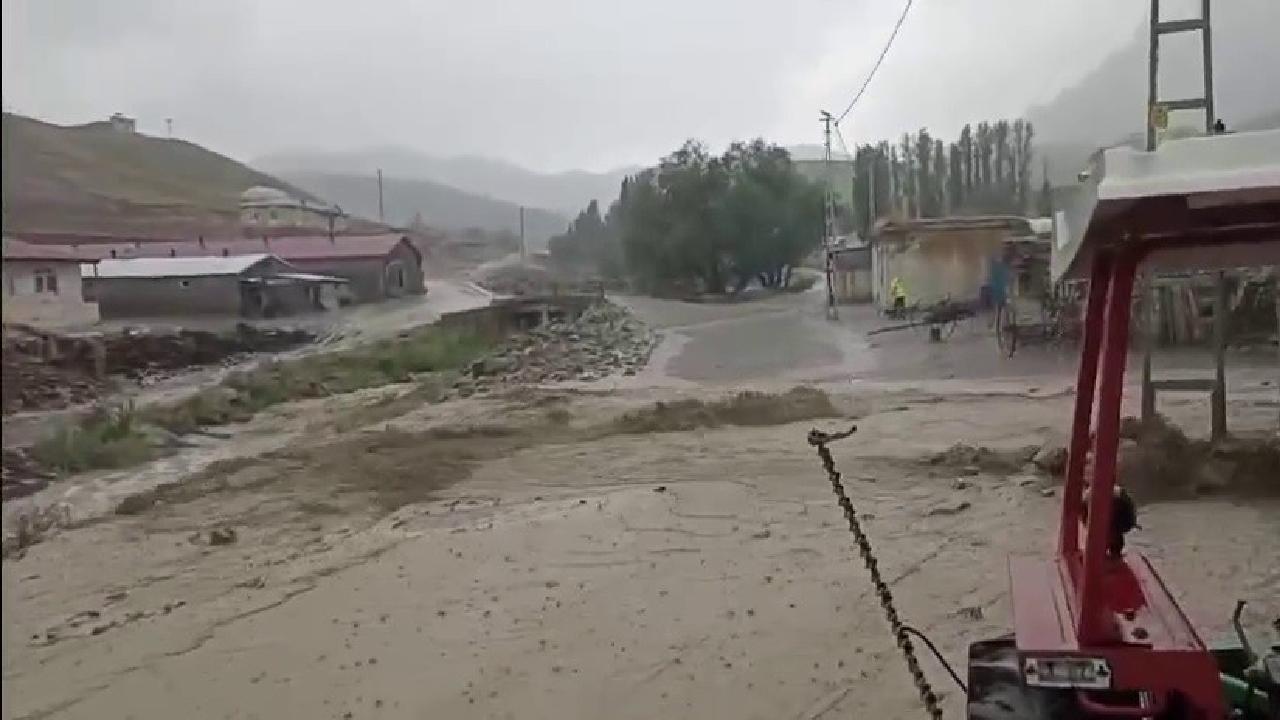 Sel Önüne Kattığını Götürdü, Dereler Taştı: 12 Hayvan Öldü