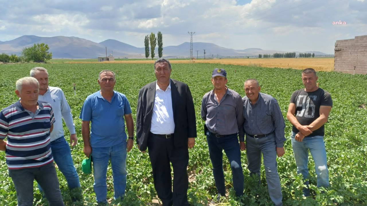 Tarladan Uyarı Geldi: ‘Patates Komple Dökülür, Üretici Tarladan Çekilir’