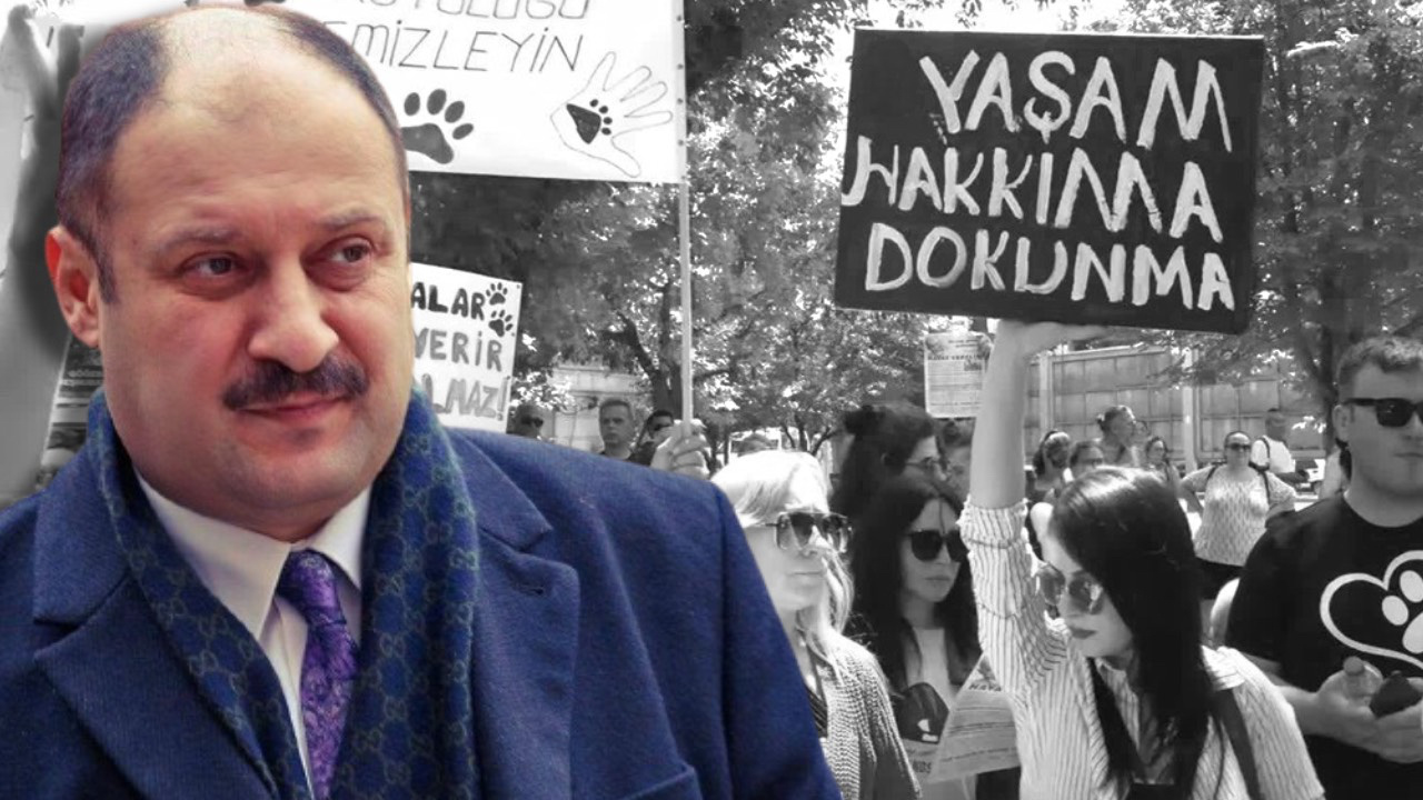 YRP’li Belediye Başkanı’ndan ‘Sokak Hayvanları’ Resti! ‘Hayatımda İlk Defa Kanunu Çiğneyebilirim’