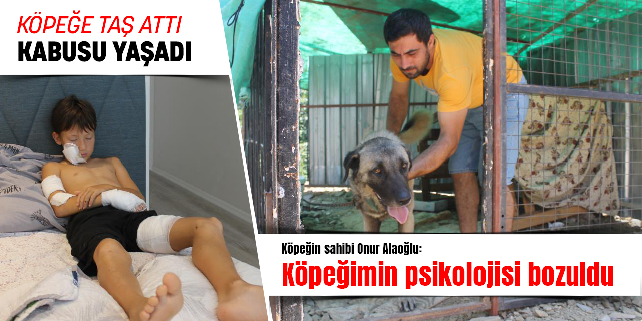 Köpeğe taş attı, kabusu yaşadı