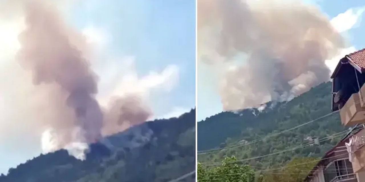 Zonguldak Devrek’te orman yangını!