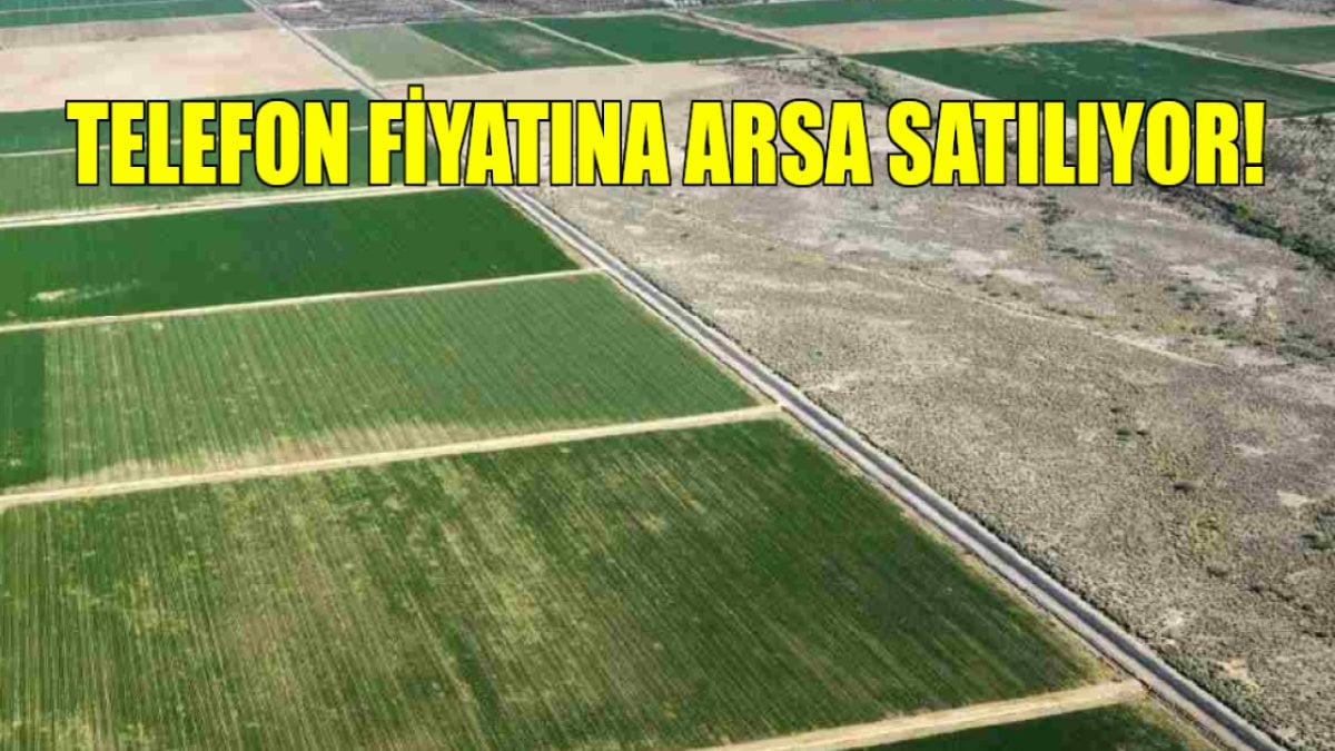 Telefon fiyatına arsa fırsatı! Milli Emlak gemileri yaktı, o ilde ucuza arsa satıyor