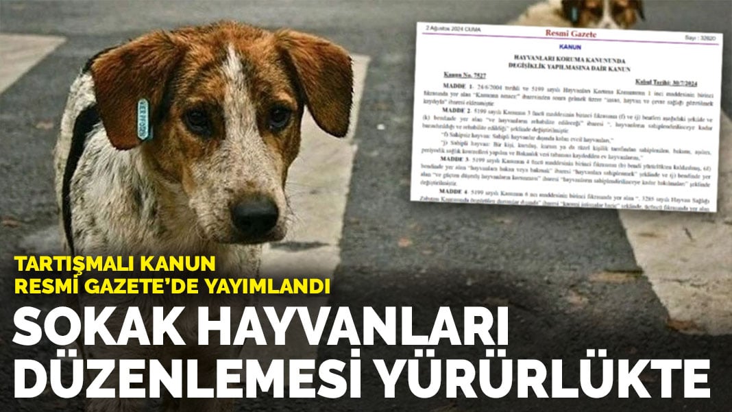 Resmi Gazete’de yayımlandı: Sokak hayvanları düzenlemesi yürürlüğe girdi