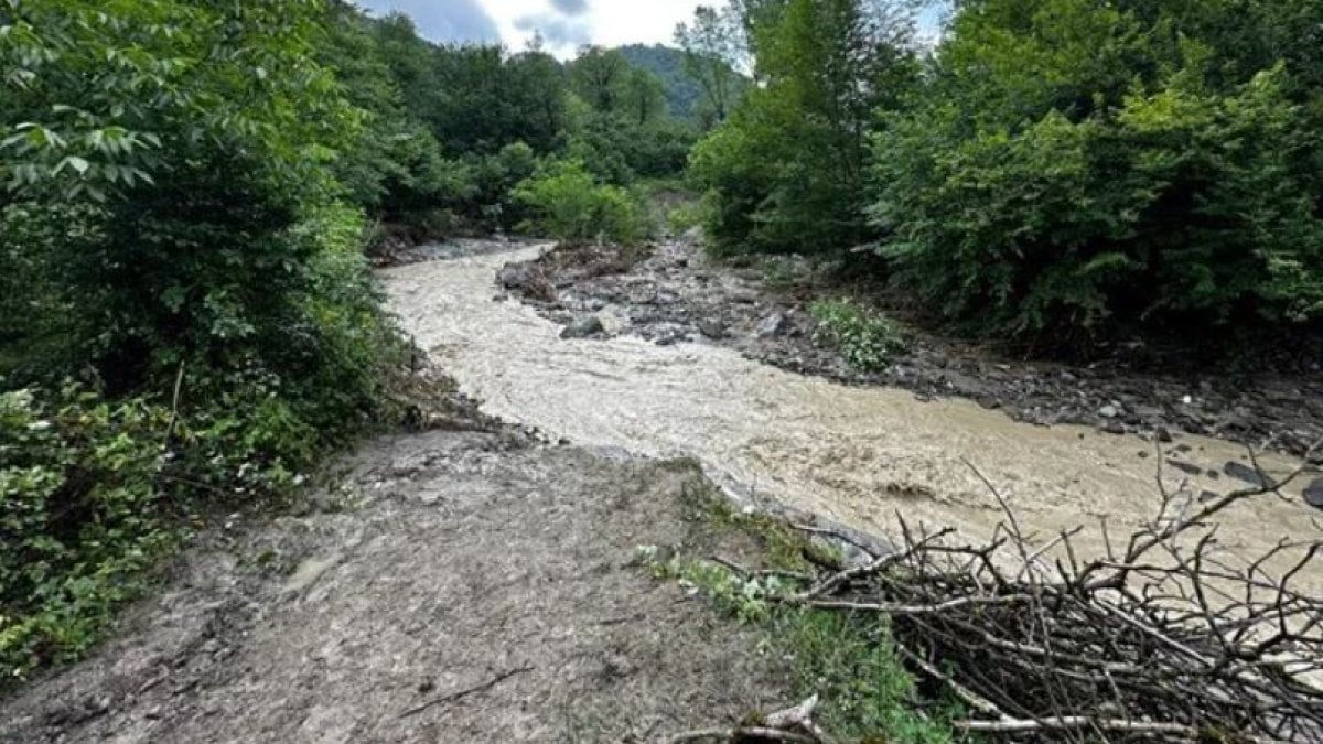 Karadeniz’de fırtınalar ormanları vurdu: Binlerce ağaç hasar aldı